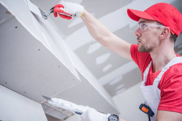 Best Drywall Crack Repair  in Rockledge, FL